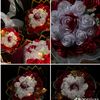 princess_girl808