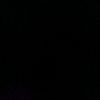 bolong.is.real