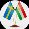 rizgar.kesteyi