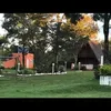 zilma.fonseca6