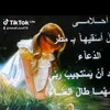 marle.yusif