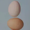 user6241081958121