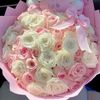 user183932946179tiktok.c