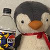 pipin0029