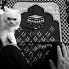 dx_moktar_17