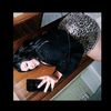 lynntheebunnii1