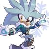 silver.hedgehog06