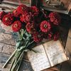 the_karla_journal02