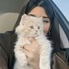 leen_enoo