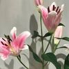 arwa_al_harbi.f15