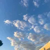 mar_ruoredda151408