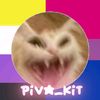 piva_kit2