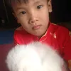 1cuocdoithatbatcong