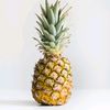 mr.pineapple3.0
