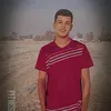 .mpael