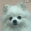 masa.masa121