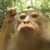 ha.xuan.nang