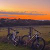 mtb.fizzle14