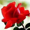 md.shalauddin.bap6