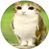 meowl_meowl1