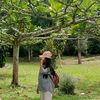cegill_yuann