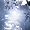 ikd_sinest28