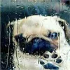 _islamay1