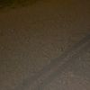 user510308203915