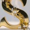 ziauddinmughal5