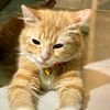 oyen4199
