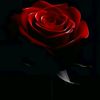 hiba.titou