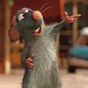 le_rat_de_discord
