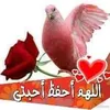 imane.imane3066