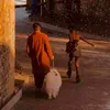 ĐU PHIM