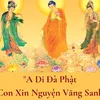 minh.tan9767