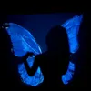 pvd_vivica1