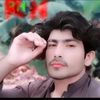 hamindzehri2