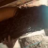 anazzk_4