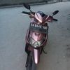 doli.bawal.lanang