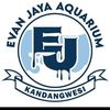 Evan Jaya Aquarium