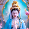 linh69729
