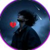 user7687533880094