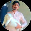 ali386748