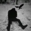 drake_