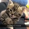 chilledmilk