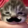 noiuai_23