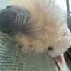 yoyoyo67cuteboy