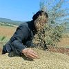 domaineagricoleritsou