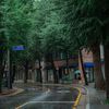 mariam.hazem29
