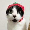 tarable.atmath